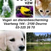 Socio-vzw-Deurne