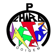 Chiro Jattetoet Ooigem