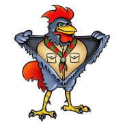 Scouts De Haan