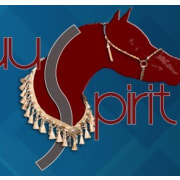 Equuspirit