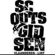 Scouts Lint