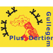 +13 Werking Gullegem