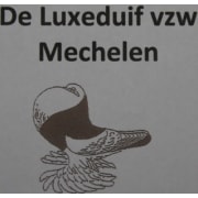 De Luxeduif Mechelen vzw