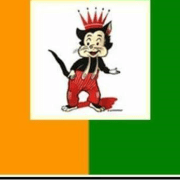 Feestcomiteit De Katte