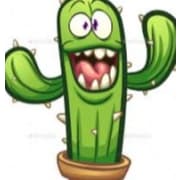 Fc Cactus
