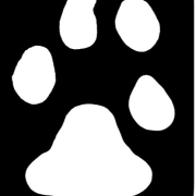 Pawsome Mushing