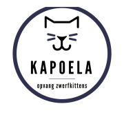 Kapoela vzw