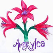 Amarylca