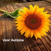 Voor Autisme vzw