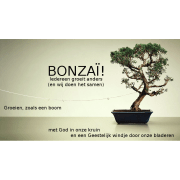 vzw BonzaÏ