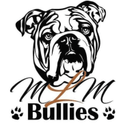 MLM-Bullies vzw