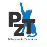 De Poezemoeders Zwerfkattenproject Turnhout VZW