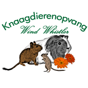 Knaagdierenopvang Wind Whistler vzw