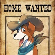 Home Wanted asbl