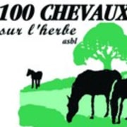 100 CHEVAUX SUR L'HERBE
