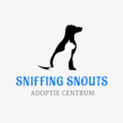 sniffingsnouts