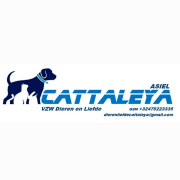 Asiel Cattaleya