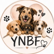 Your best friends for life