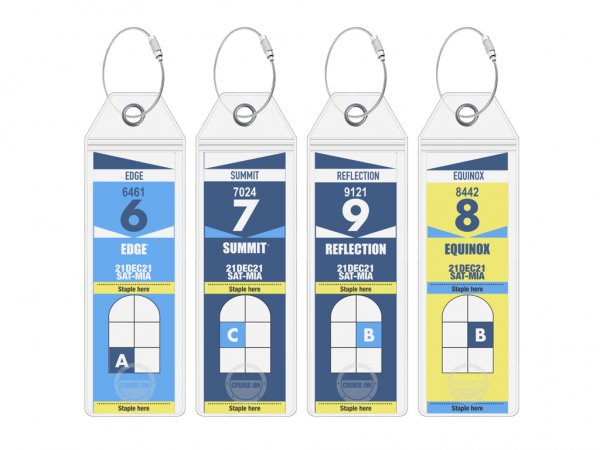 Luggage Tags - Celebrity