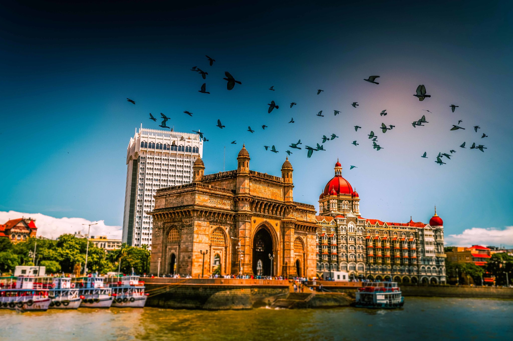 Book cruises to India in 2025 online and save