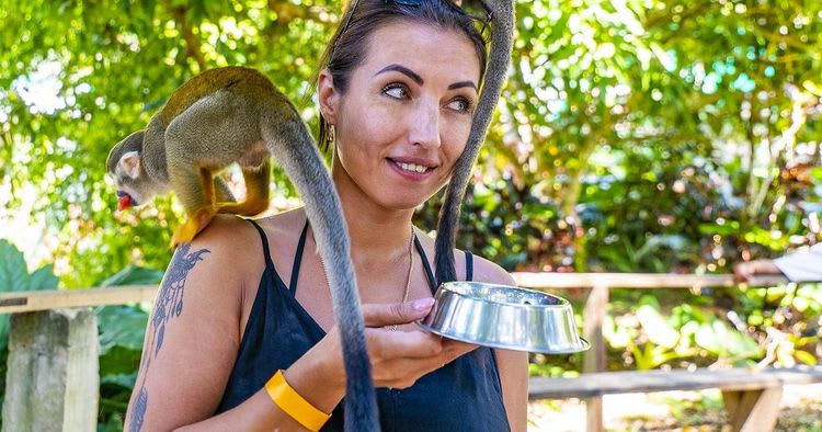 Recorrido por la ciudad de Monkeyland y Puerto Plata