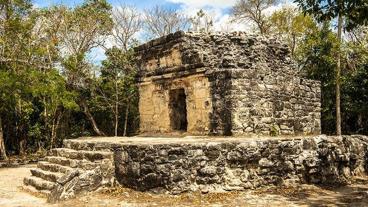 Legado de los Mayas: Ruinas y Degustación de Chocolate