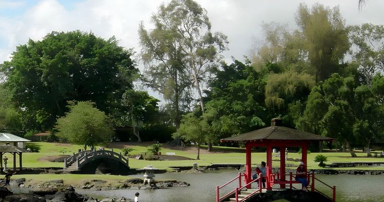 Discover Hilo, Waves & Waterfalls