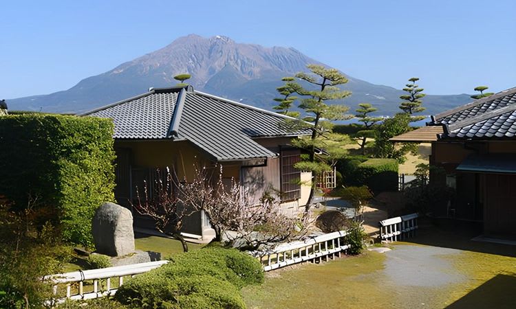 Kagoshima Highlights with Japanese Style Dinner