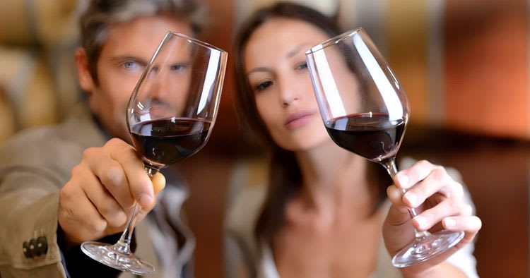 Medoc Vineyards & Wine Tasting