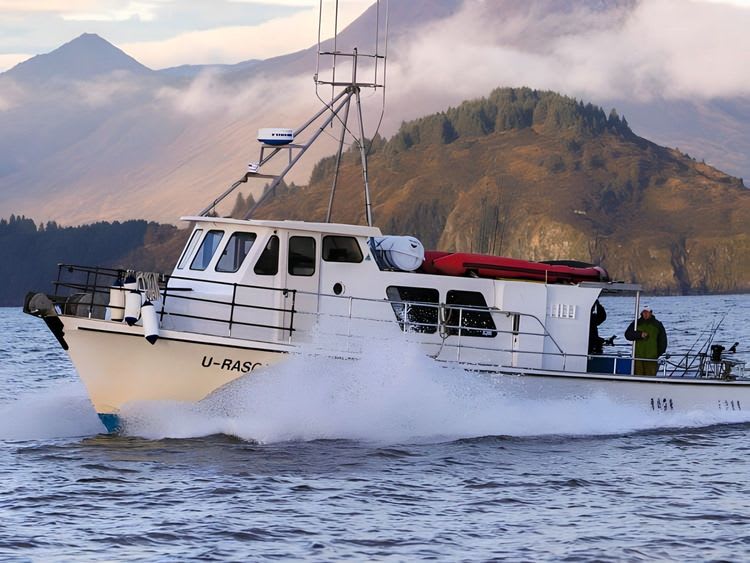 Guided Wildlife & Historical Cruise