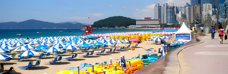 Fascinating Busan: Temple, Beach & Island