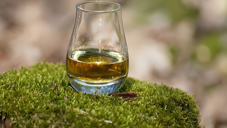Private Journey: Whiskey on the Giant's Causeway