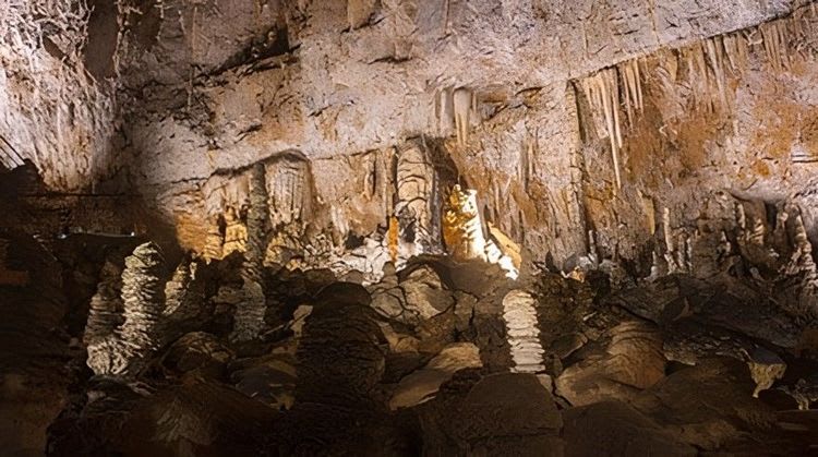 Visit the Amazing Giant Cave