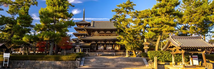 Nara & The Horyuji Temple