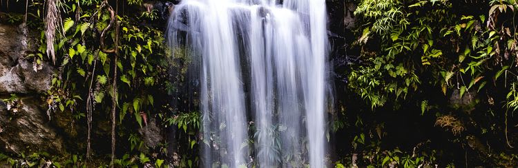 Nakawaqa Waterfall & Rainforest Tour