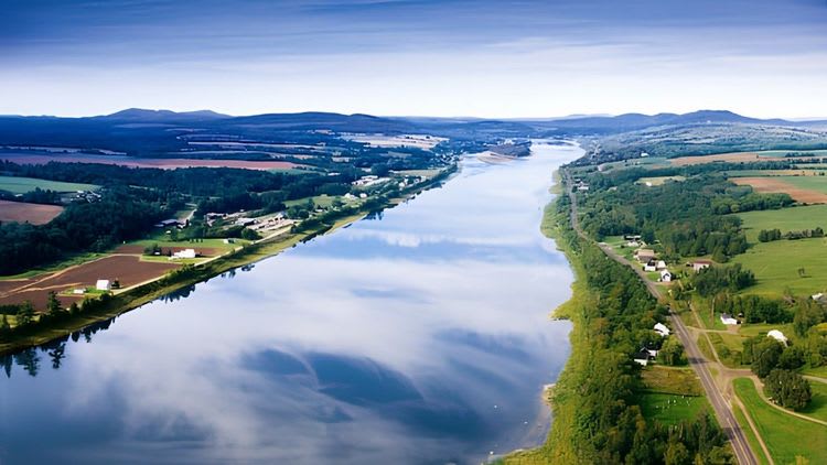 Saint John River Cruise