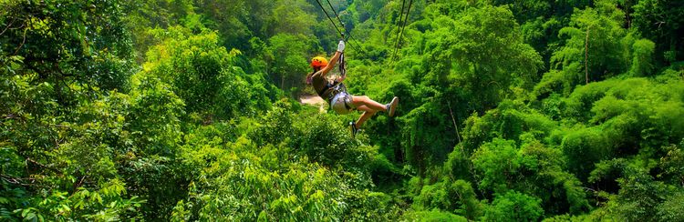Midlands Canopy Tour