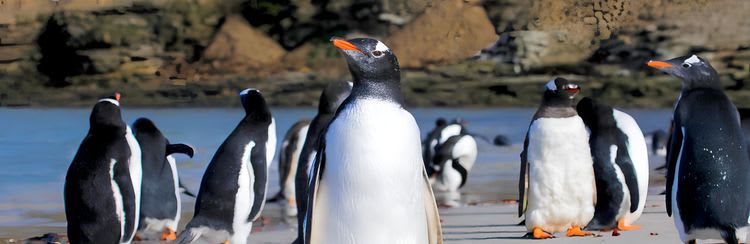 Bertha's Beach & Flatlands Wildlife