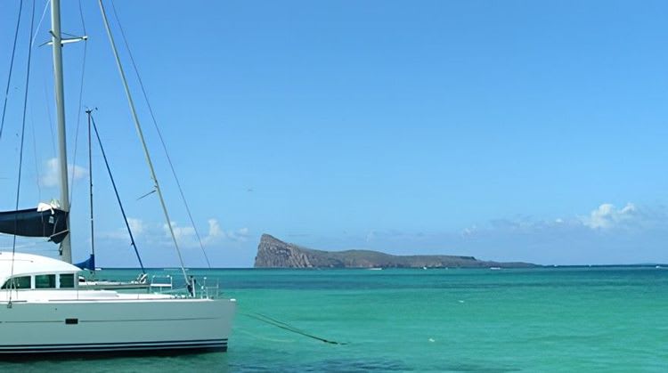 Catamaran Cruise To The North Islands