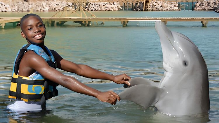 Dolphin Encounter