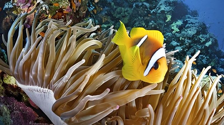 Behind The Scenes At The Aquarium