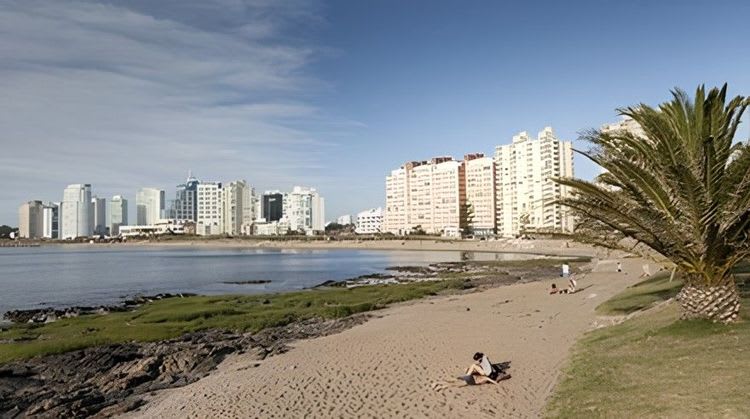 Discover City Tour Punta Del Este & Ralli Museum