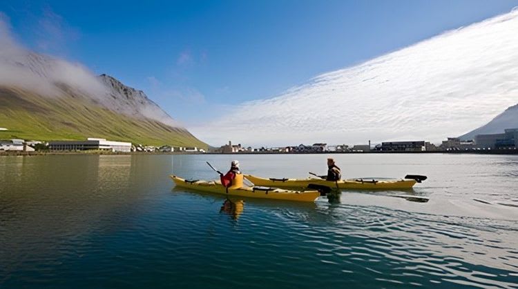 Calm Fjord Kayaking