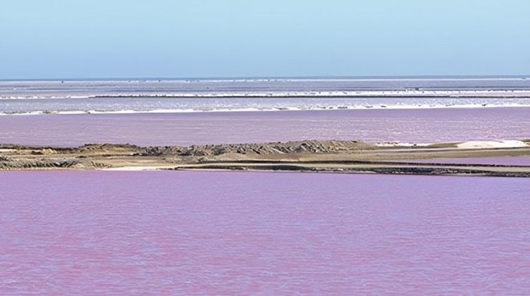 Salt, Sand & Sea Tour
