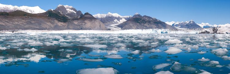 Columbia Glacier Cruise