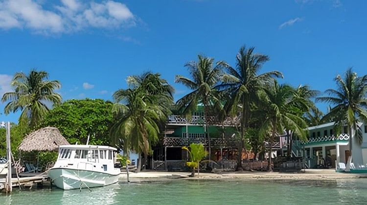 Sharks, Rays Snorkeling & Island Getaway