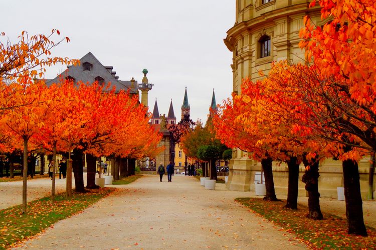 Wurzburg Residenz & Walk