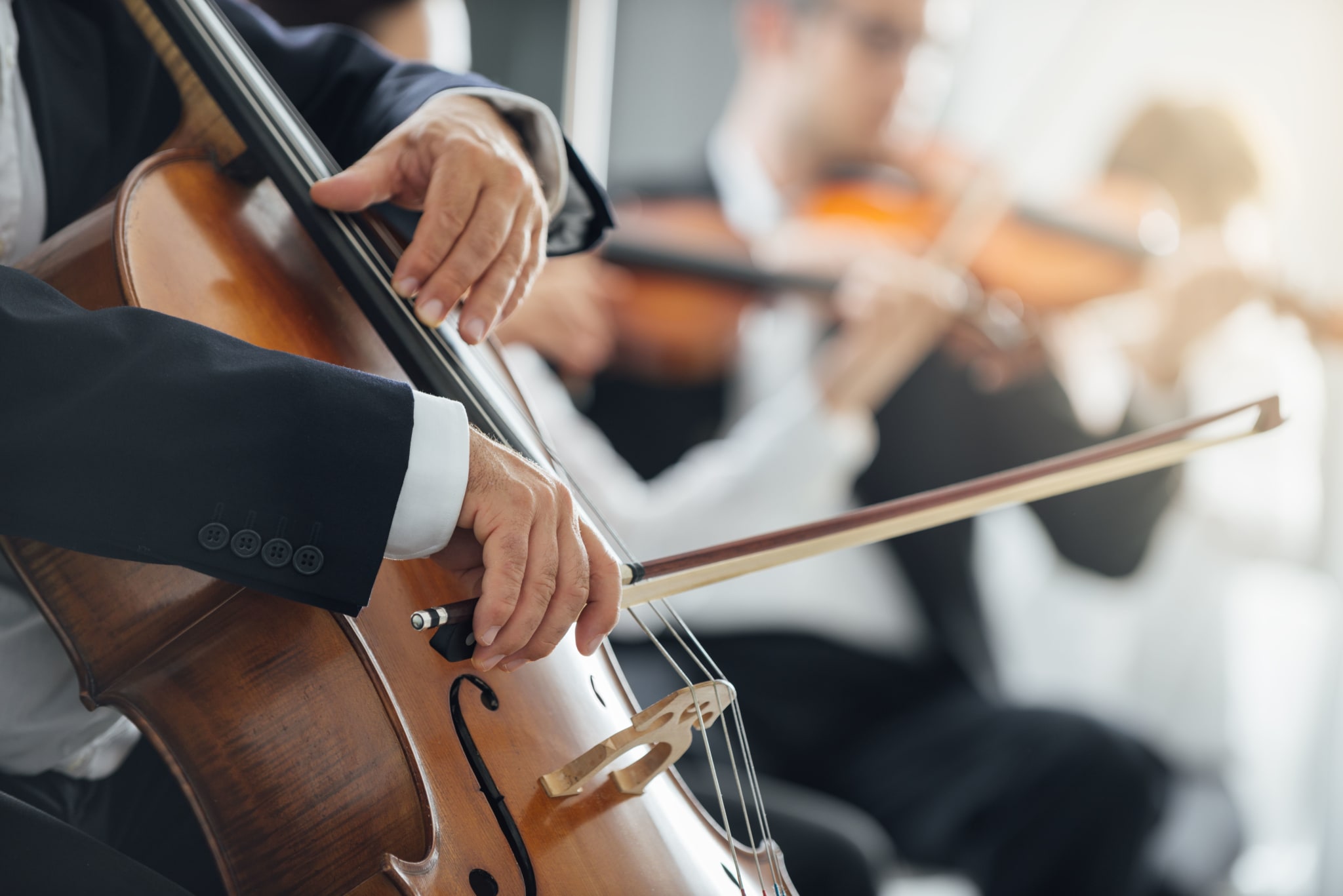 Classical & Regional Musicians