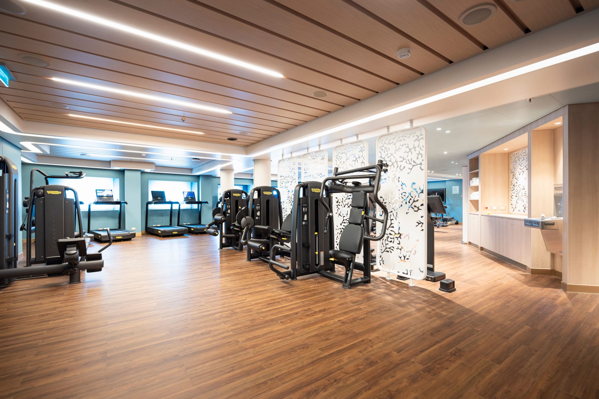Fitness