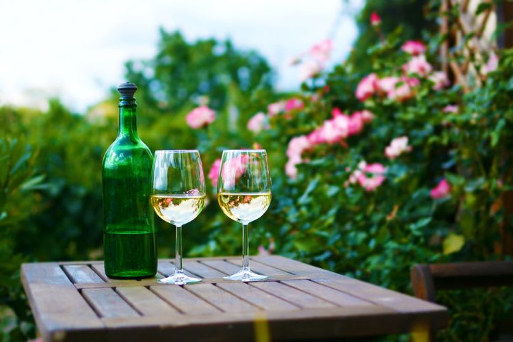 Traditional Viennese Wine and Music Evening